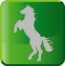 Button Mustang